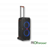 Аренда музыкальной колонки PartyBox 310 JBL